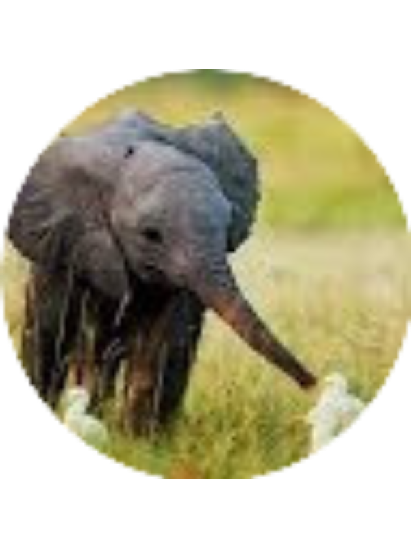 Photo of Grace Marek