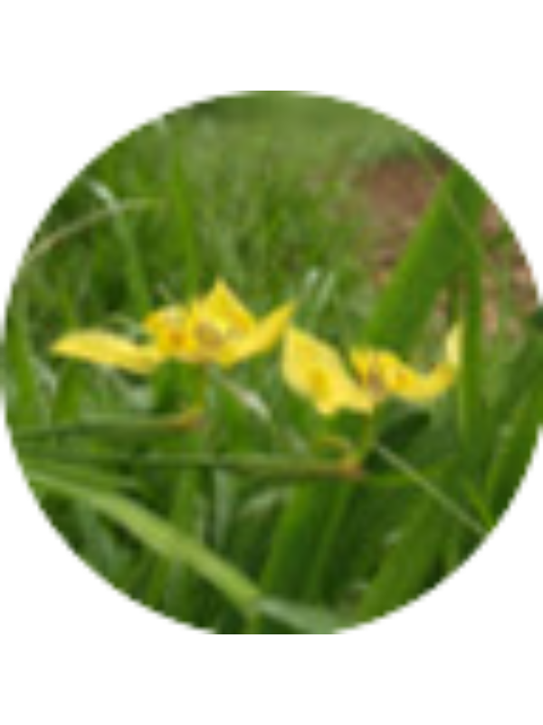 Photo of Maulidya Putri