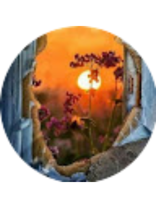 Photo of Fidaa Mohammad