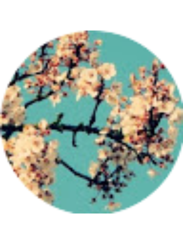 Photo of Renata Aguilar