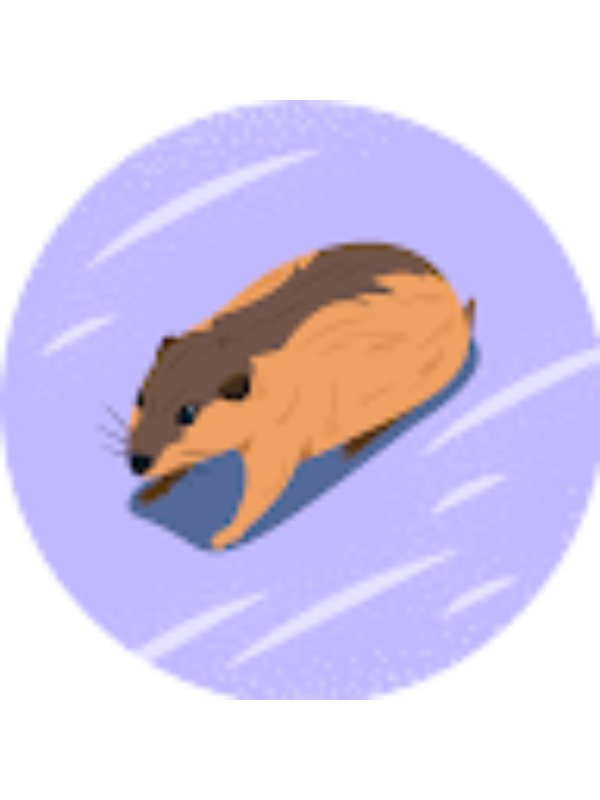 Photo of Dea Nikolaj