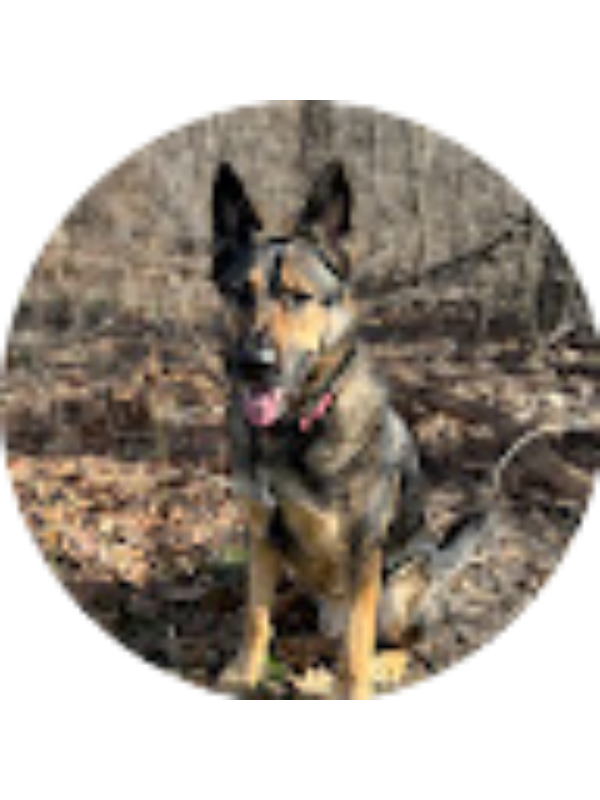 Photo of Colleen Hepler