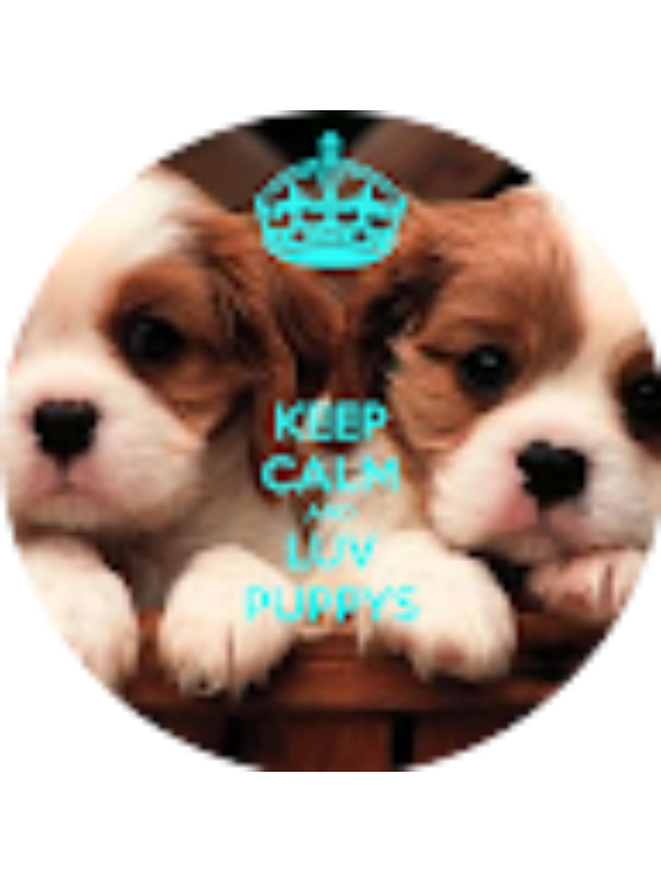 Photo of Dianne Garcia