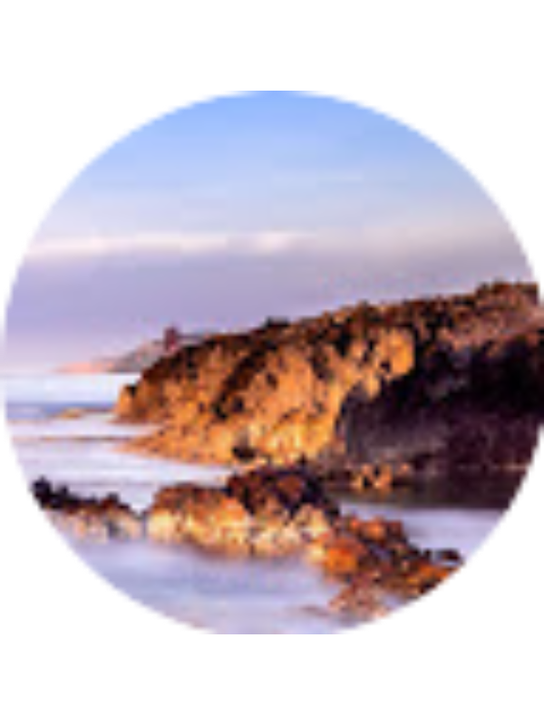 Photo of Andrei Rusu