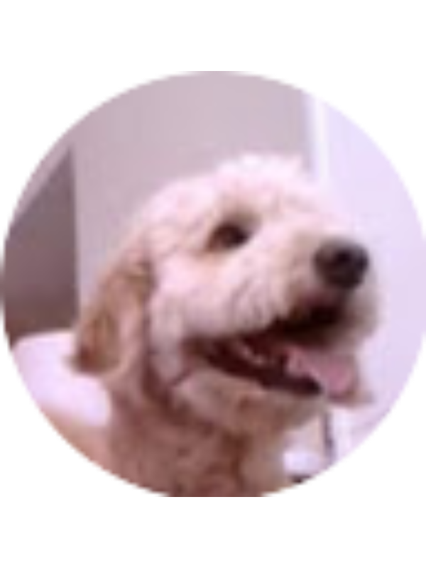Photo of Audrey Wuebbling