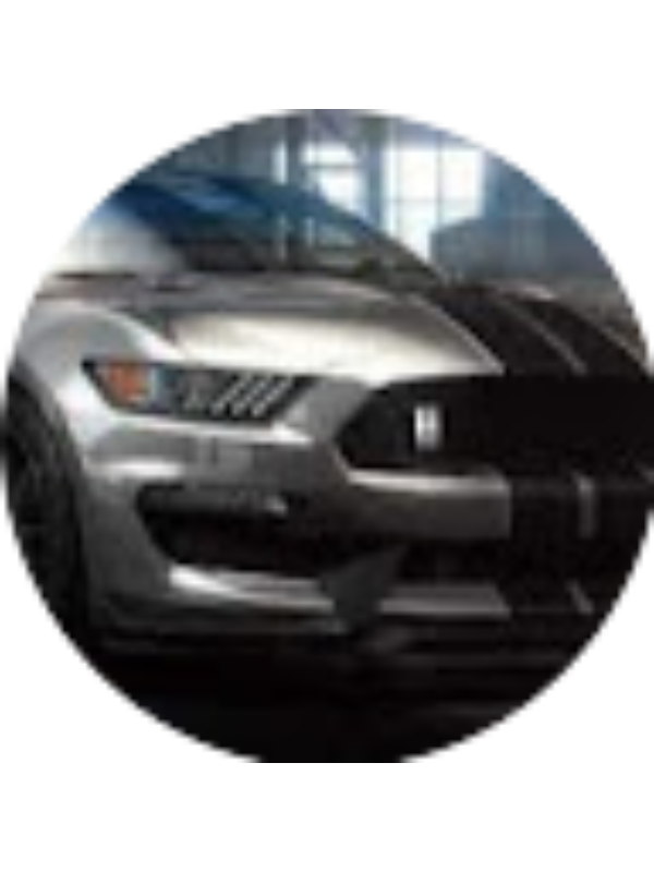 Photo of Connor Martin