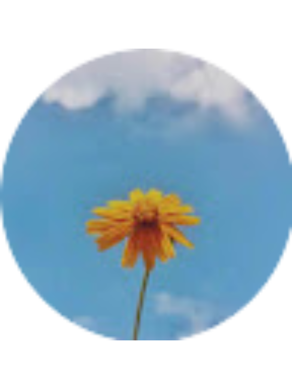 Photo of HollyAnn Stevens