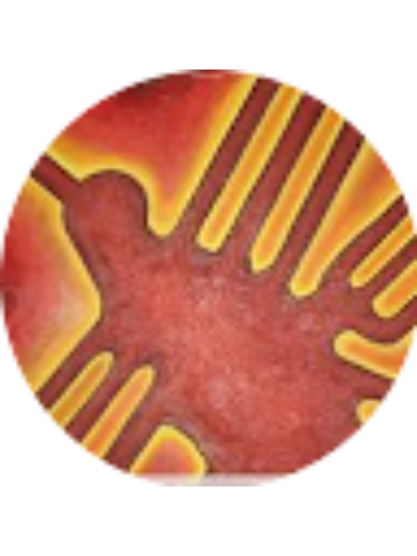 Photo of Yelissa G Q