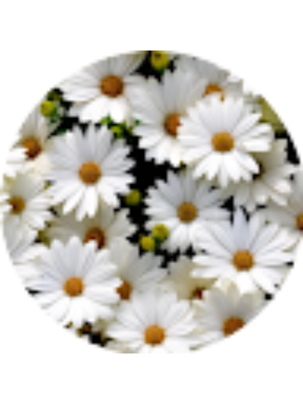 Photo of Ashley Bishop