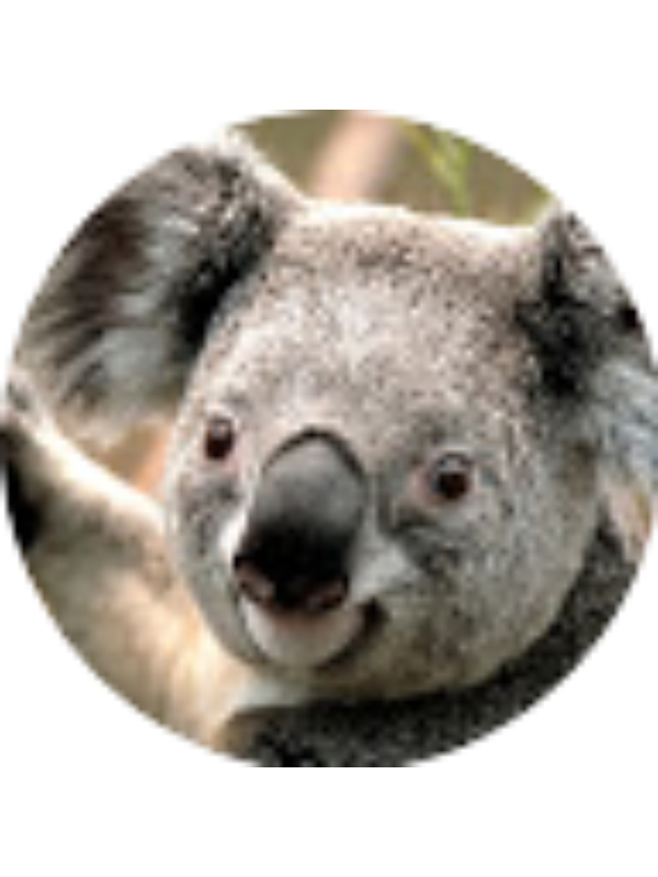 Photo of HomelessGaming 2.0