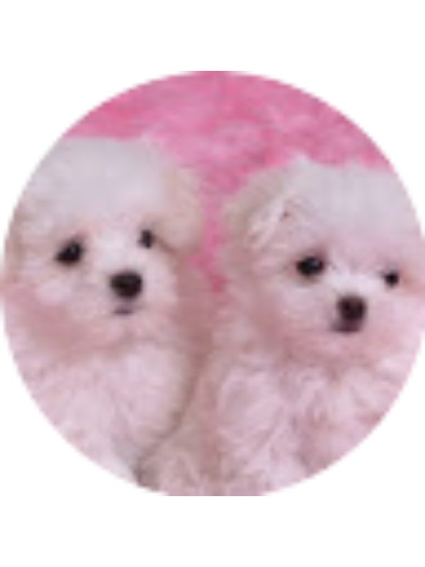 Photo of Jennifer Lemus