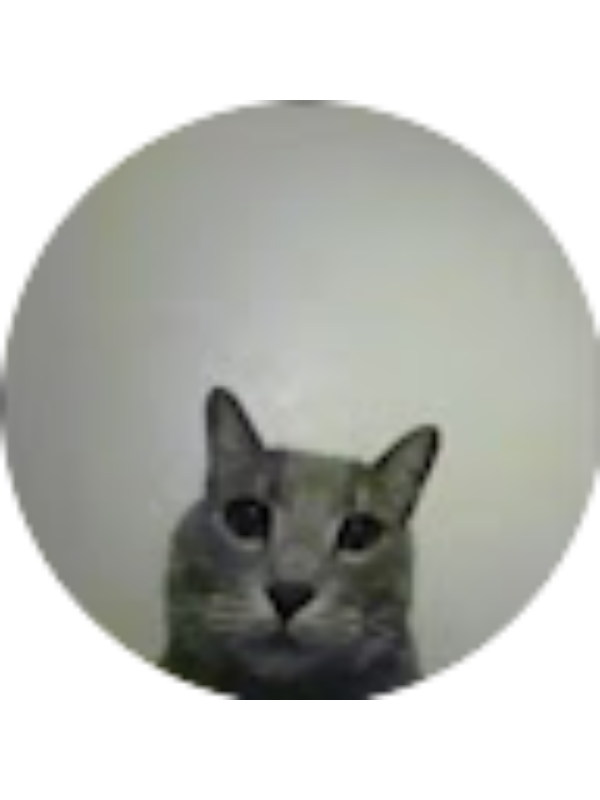 Photo of TRENTON VITANDS