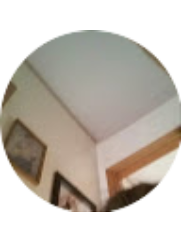 Photo of Stefania Modica