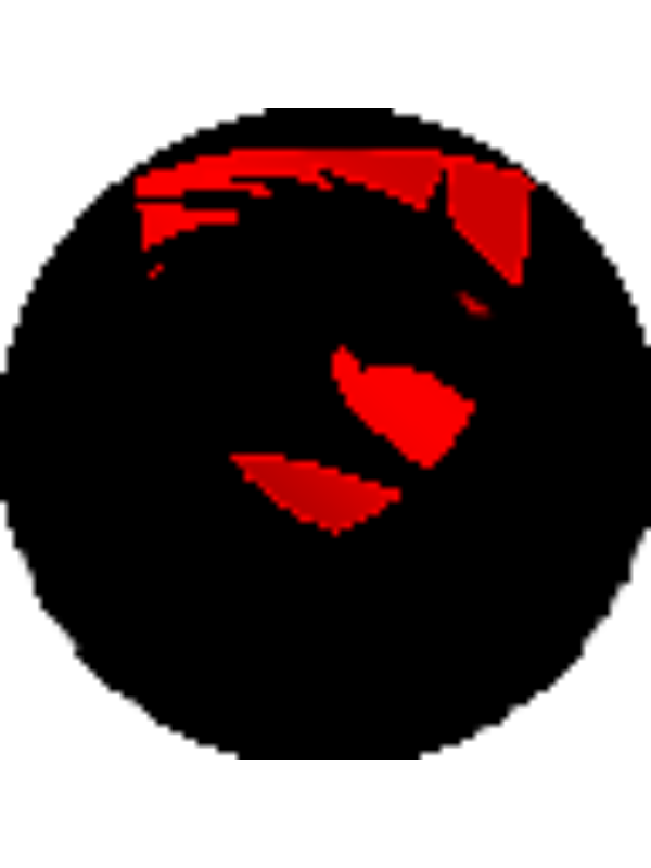 Photo of Angelo Jeong