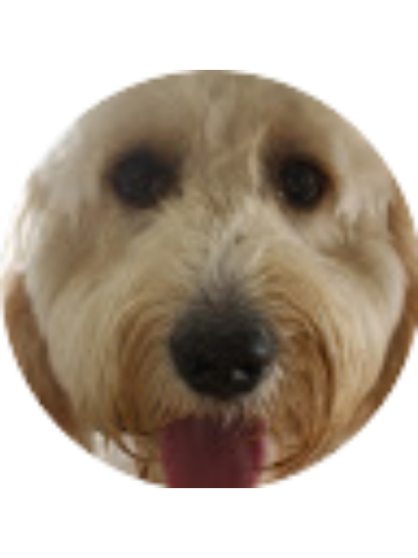 Photo of Meghan Albert