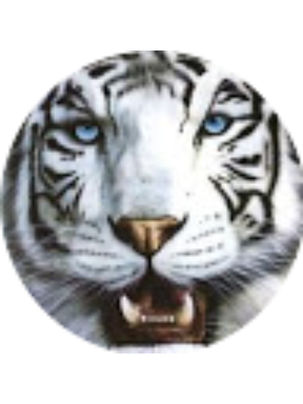 Photo of Diego Esteban Ruiz Barrientos