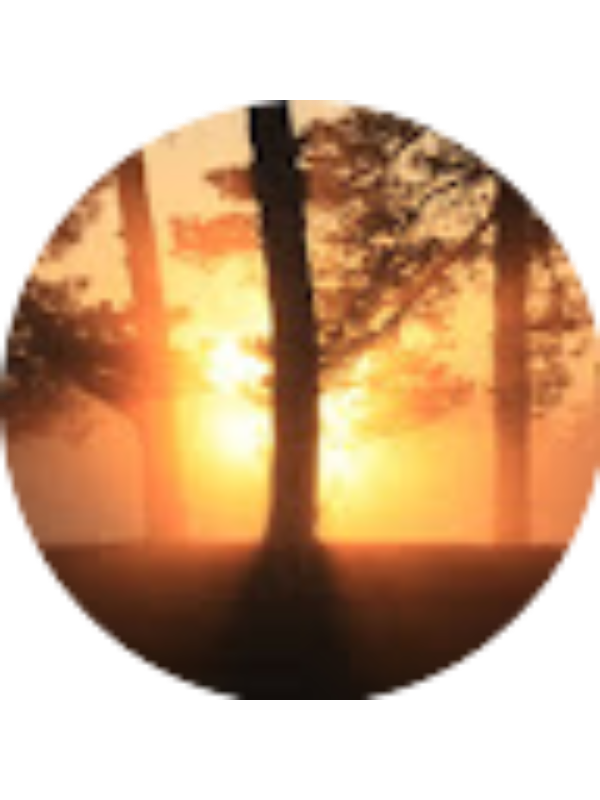 Photo of Liam McCarthy