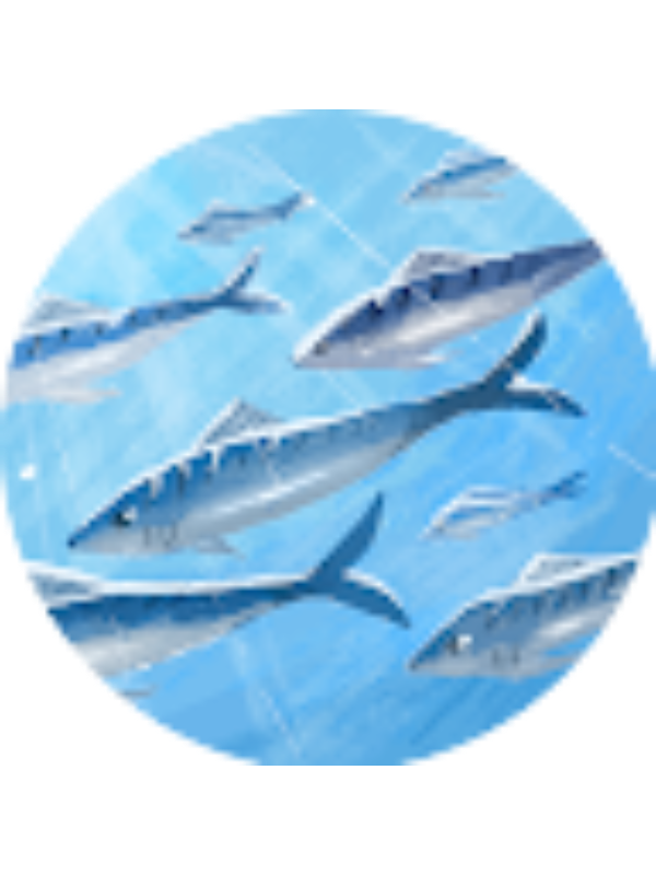 Photo of Babatunde Oyesanmi