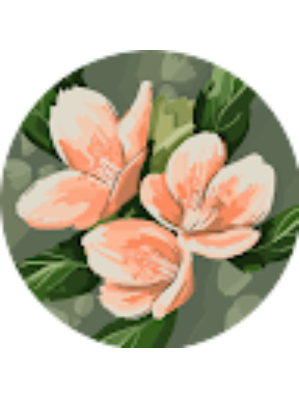 Photo of Addison Sanford