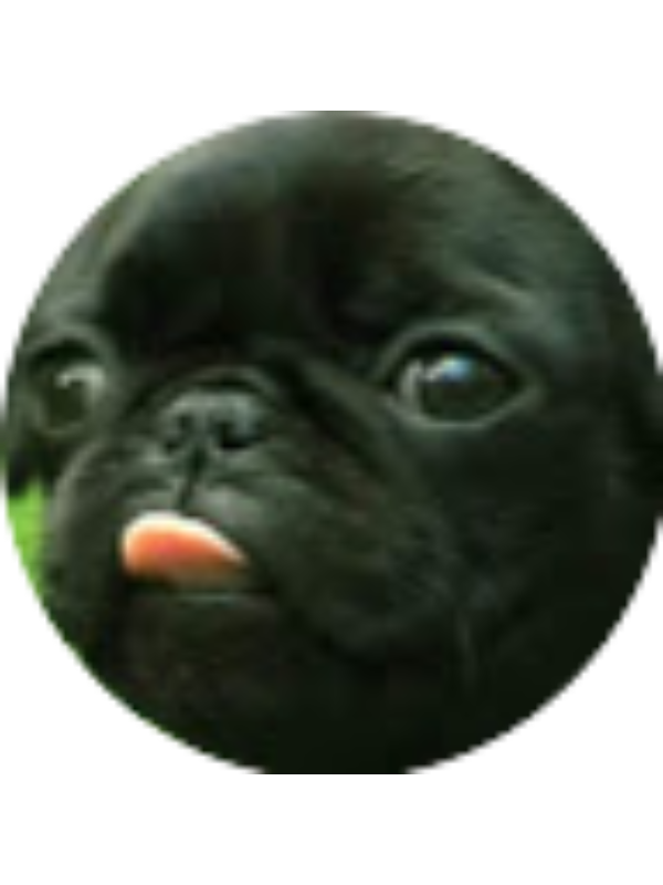 Photo of Helaina Parker