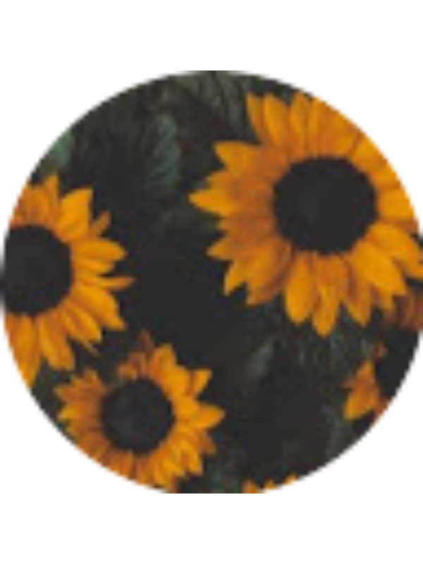 Photo of Lilian Gonzalez