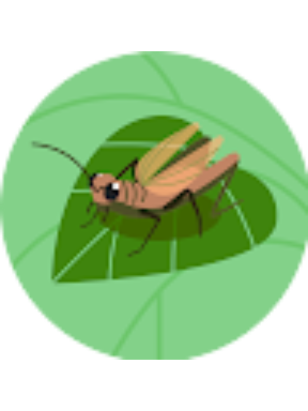 Photo of Donovan Lund