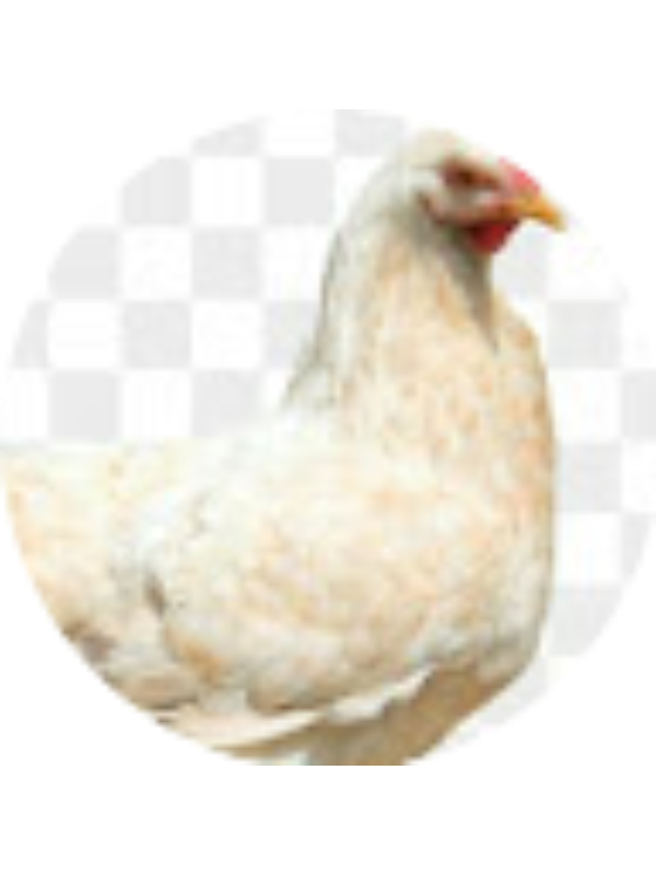 Photo of Alexander Smith