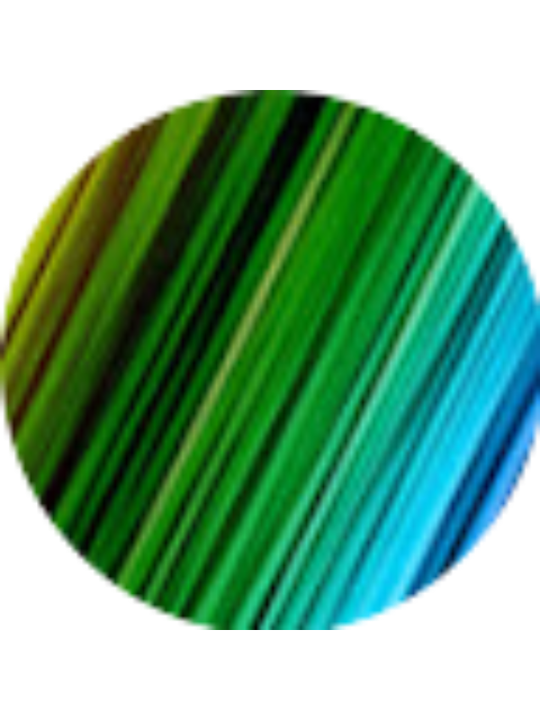 Photo of Aslı Budak