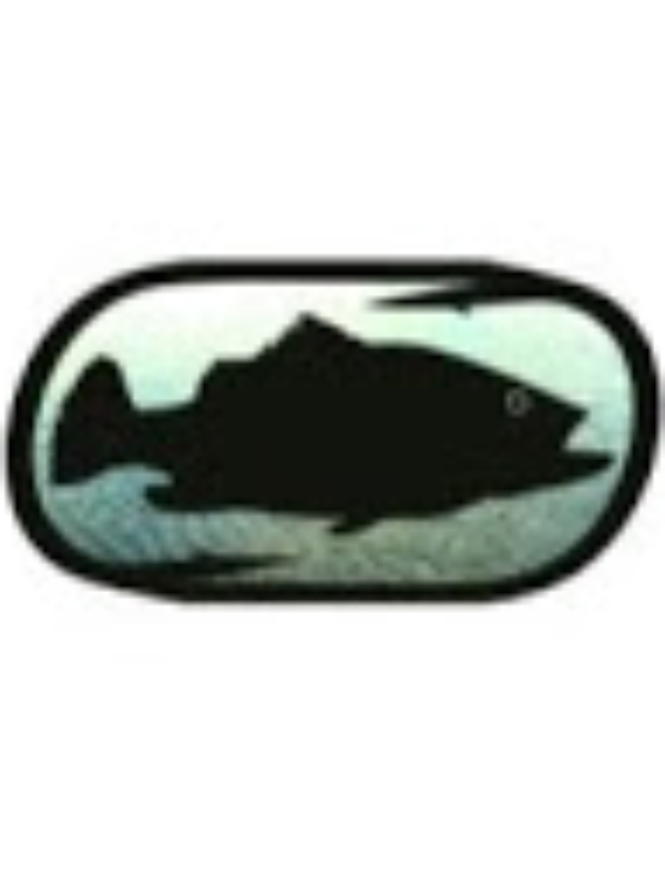 Photo of Benjamin Holsinger