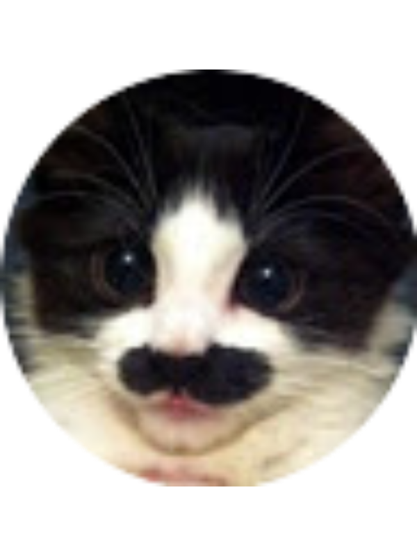 Photo of Serg&icirc;o Mend&icirc;et&acirc;