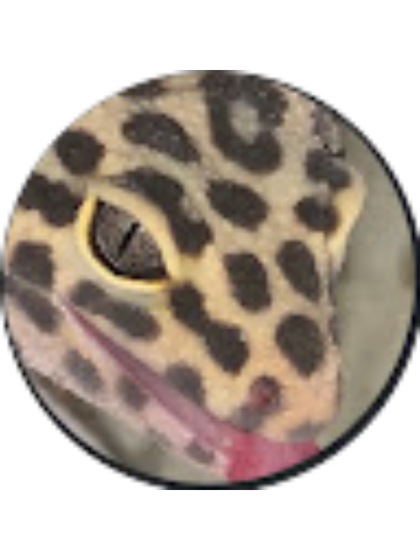 Photo of Jordan Dixon