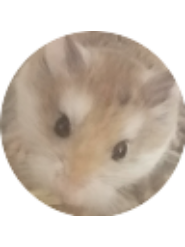 Photo of (STUDENT) Keara Bush