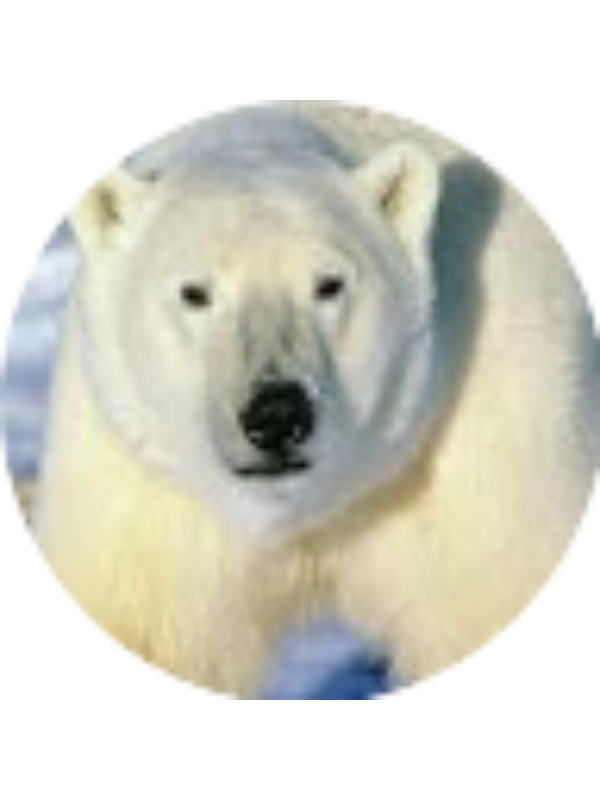 Photo of Thomas Ryan