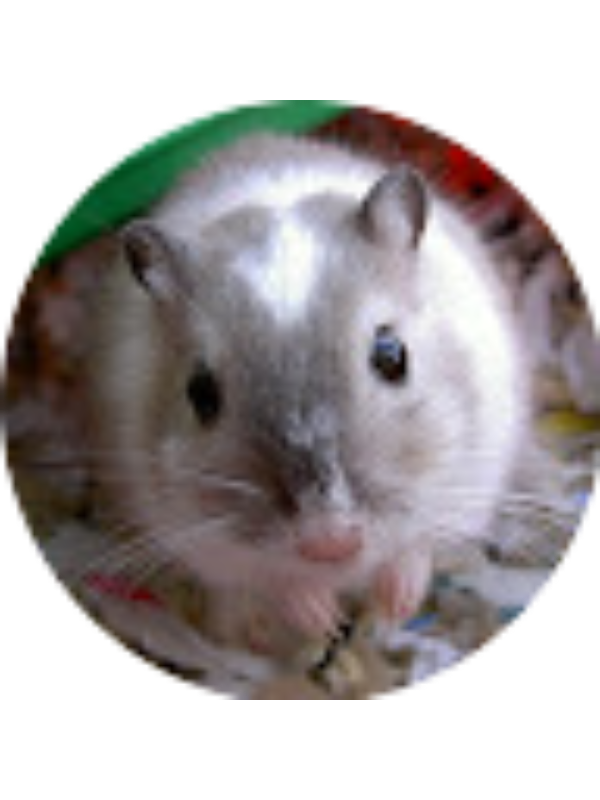 Photo of Mina Orozco Nagel