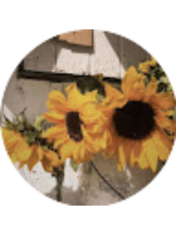 Photo of Fatma Alansari