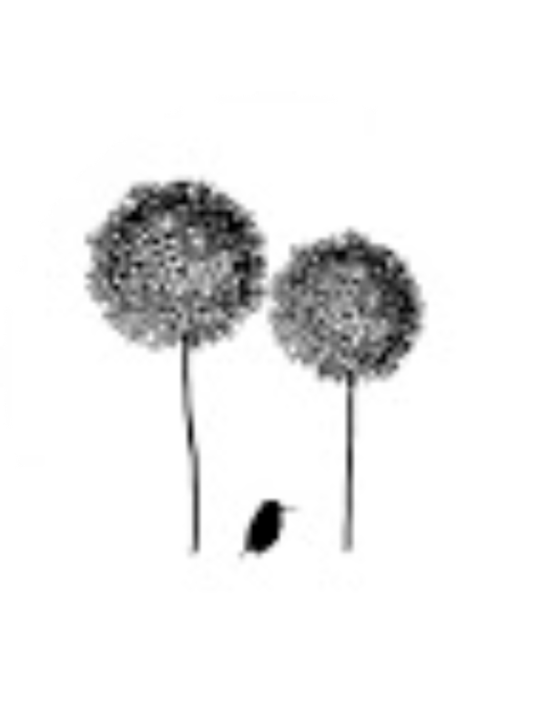 Photo of JuliannaB Licona