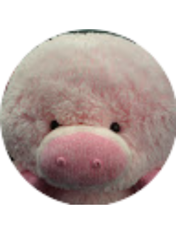 Photo of Tiffany Lin