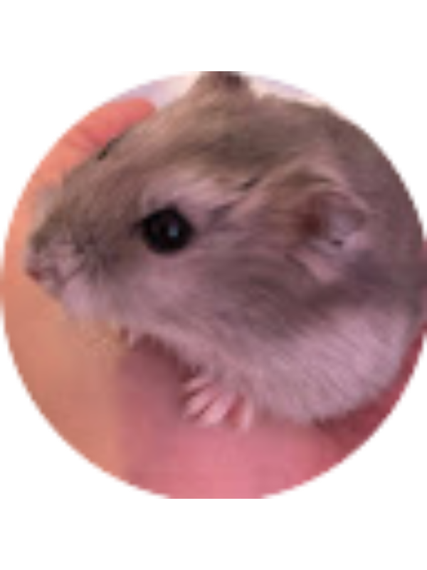 Photo of Sarah MolinaLlanes