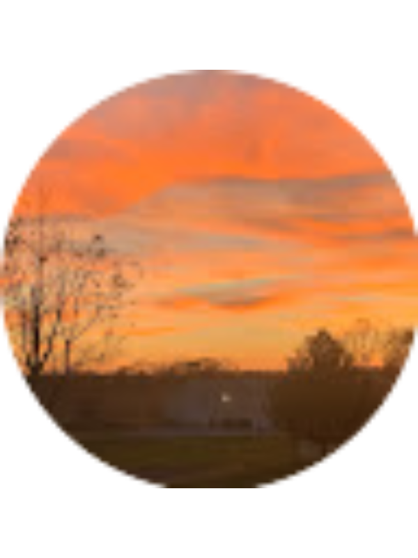 Photo of Bella Jedlicka