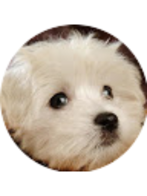 Photo of Jayla 12345