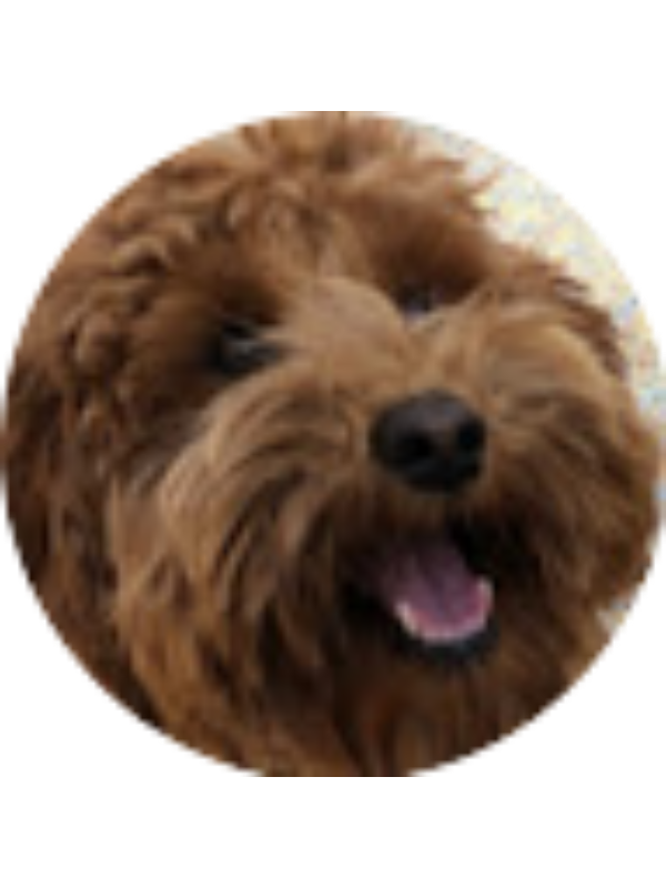 Photo of Greta O'Sullivan