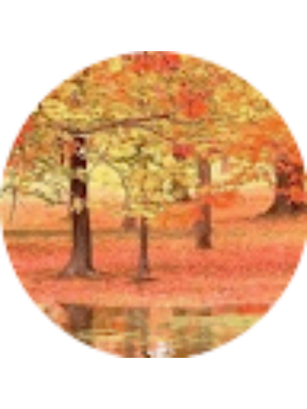 Photo of &Phi;&omega;&tau;&epsilon;&iota;&nu;ή &Kappa;&alpha;&iota;&mu;&alpha;&kappa;&omicron;ύ&delta;&eta;