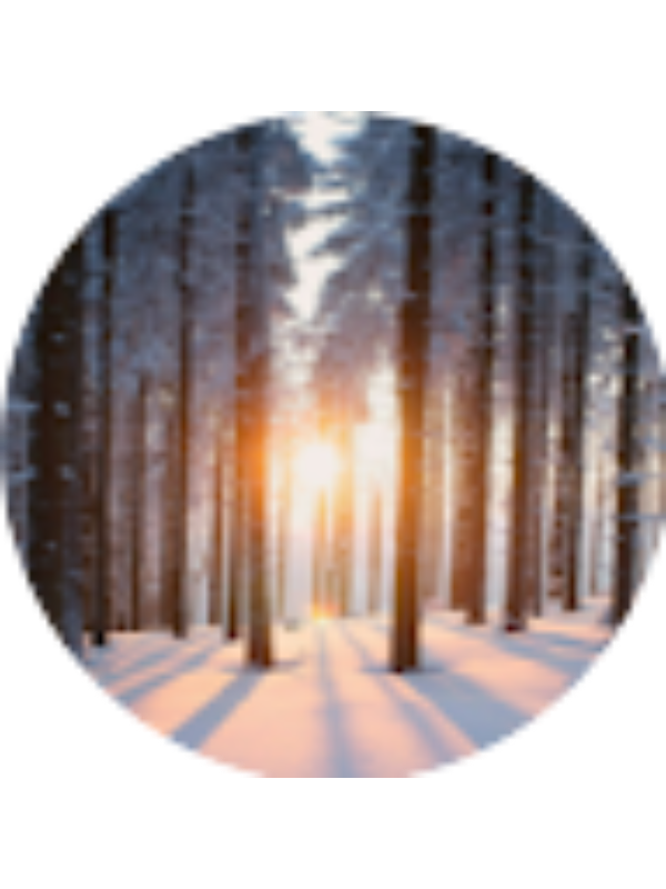 Photo of Katharine Hays