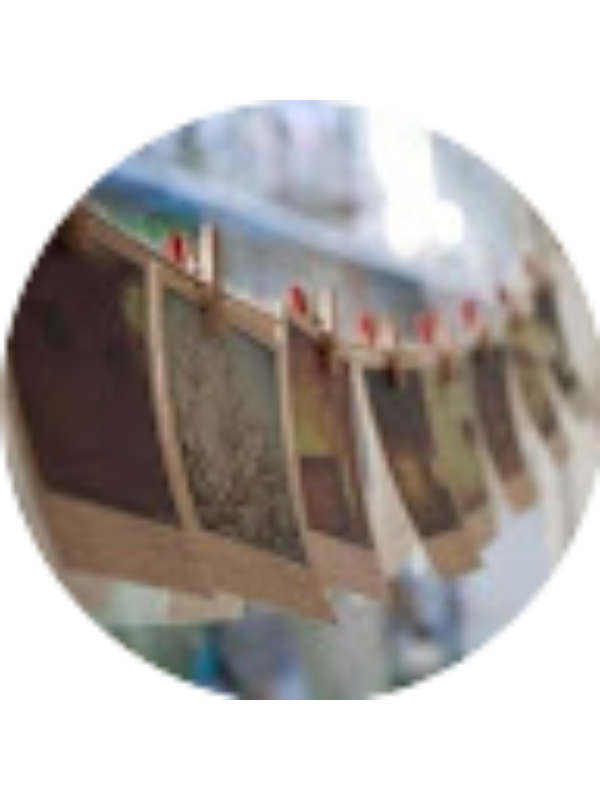 Photo of Şevval Aydoğan