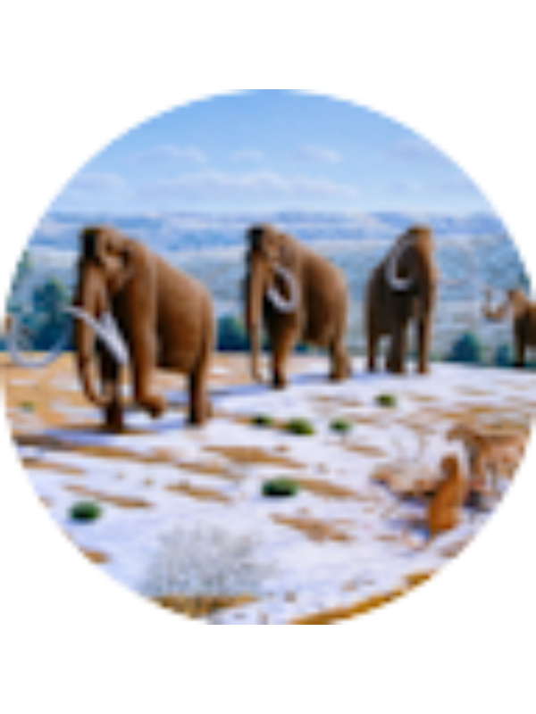 Photo of RUSSELL BLAKELY