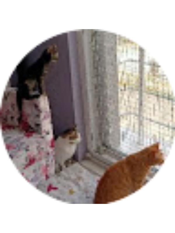 Photo of Aylin ÇERÇİL