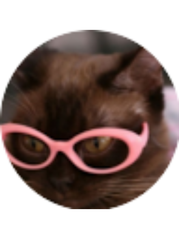 Photo of Beverly Dong