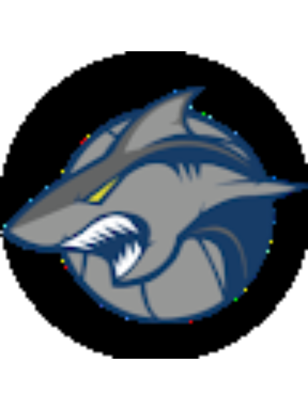 Photo of Ionut Gangan