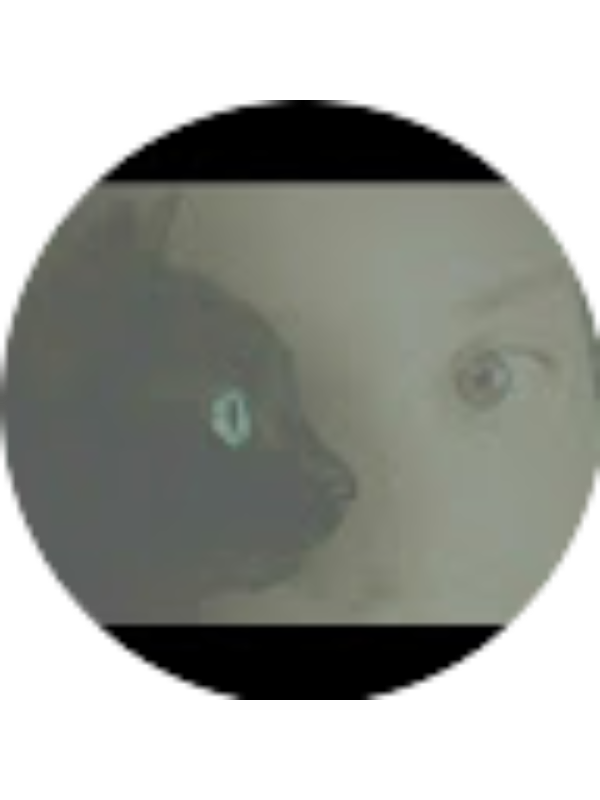 Photo of Morsal Ahmad-zadeh