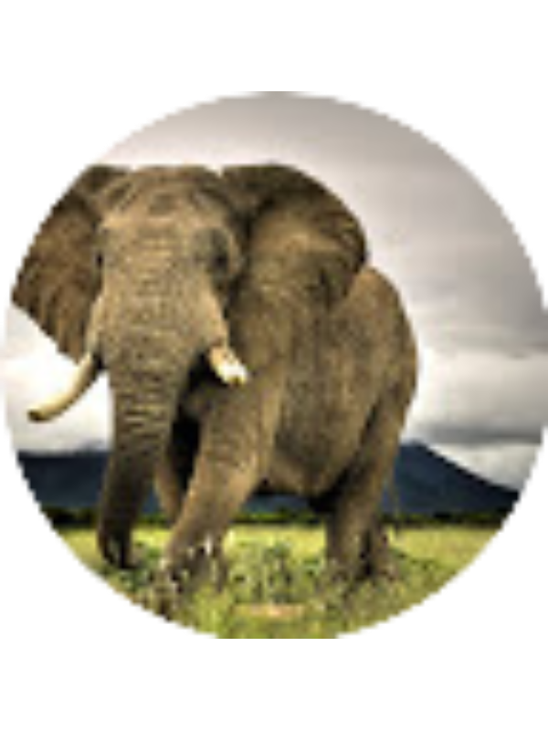 Photo of Isiaih Eagly